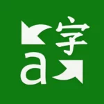 Microsoft translator