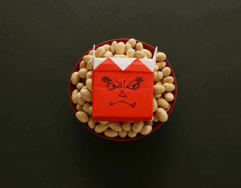 What is Setsubun: Image of demon