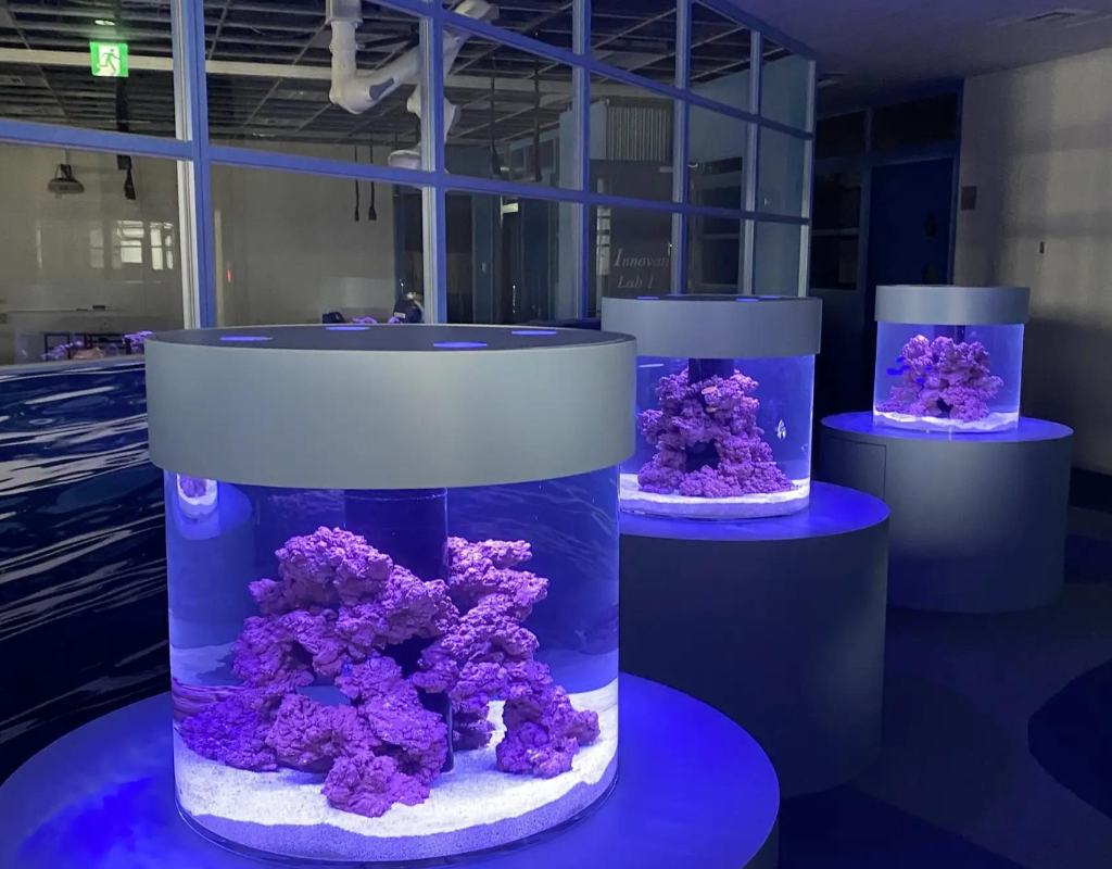 The 7th floor features an ocean theme with aquariums