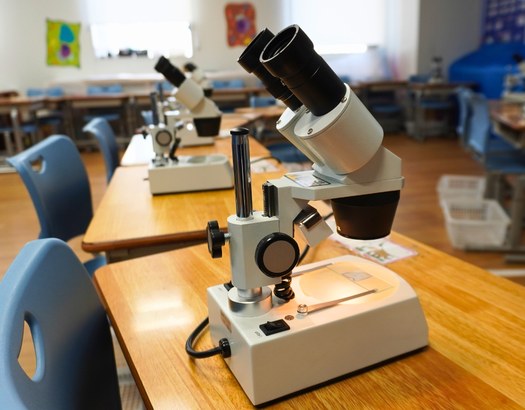 workshops of Laurus International School of Science's fair