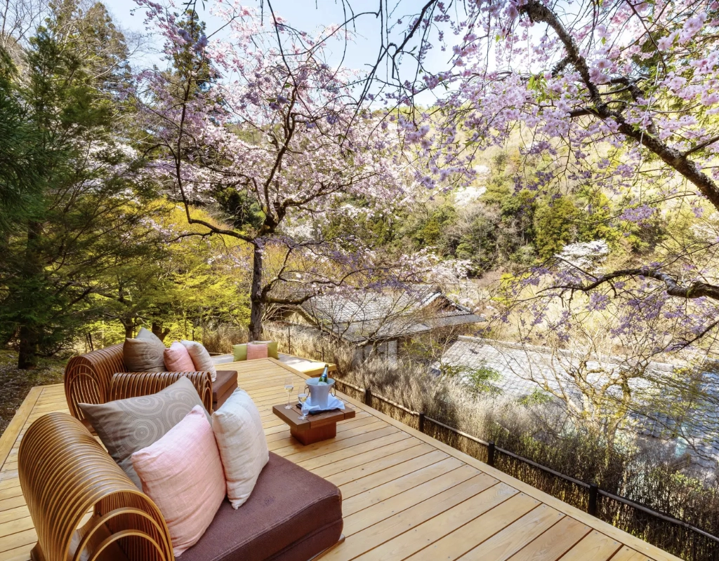 Private Terrace to view Cherry Blossom