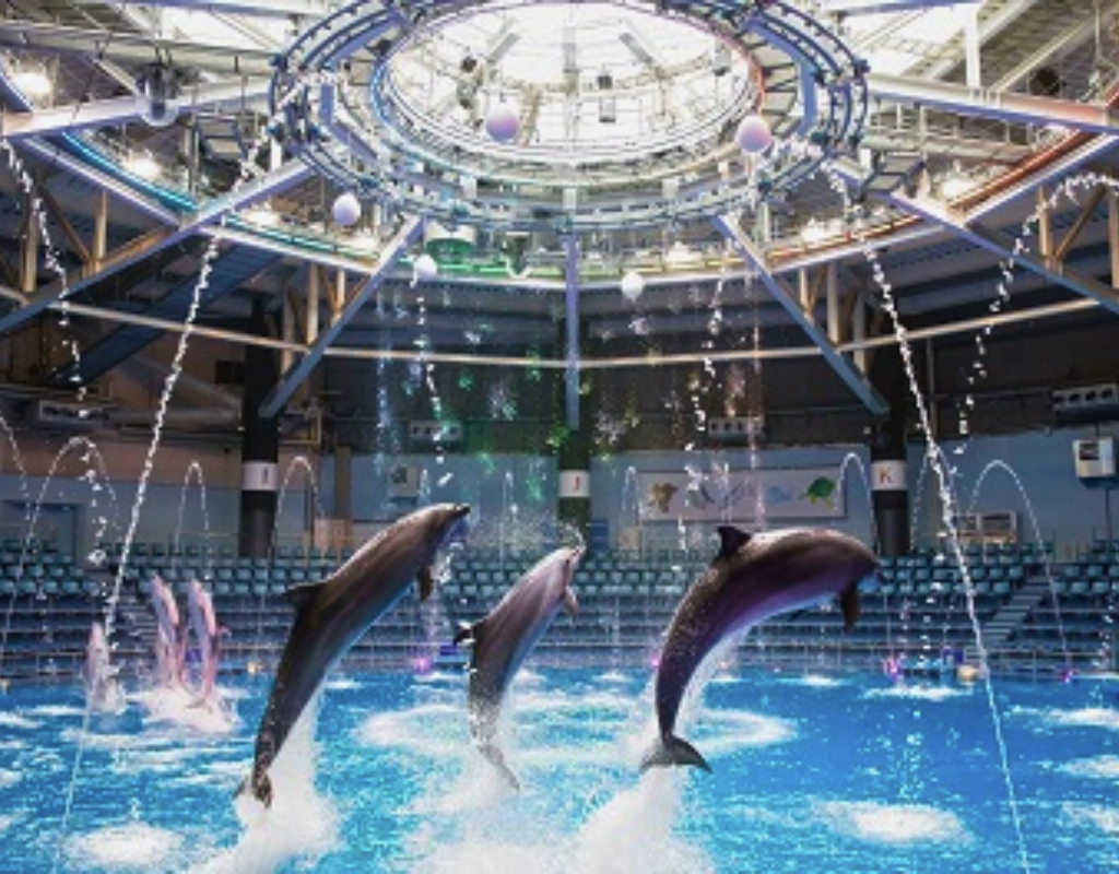 Maxell Aqua Park Shinagawa, dolphin performances