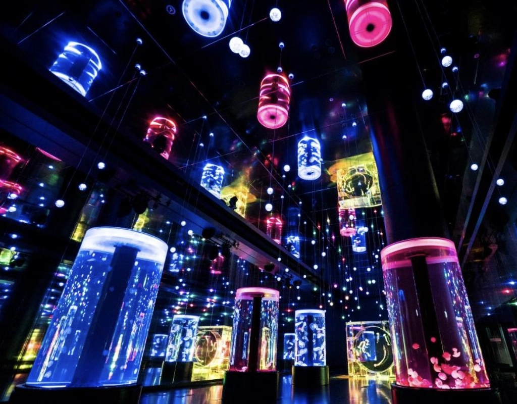 Maxell Aqua Park Shinagawa, Jellyfish