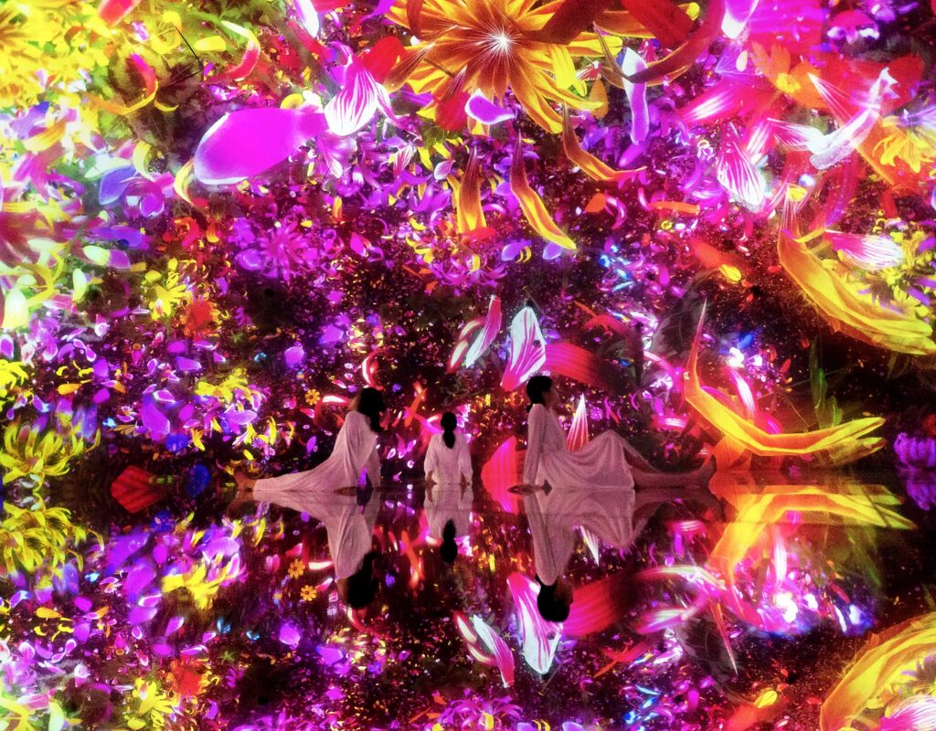 teamLab, Digital installation
