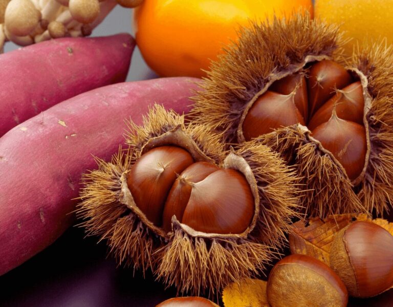 Autumn food in japan