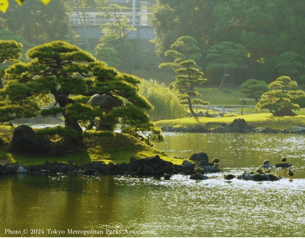 Kyu Shiba rikyu Gardens