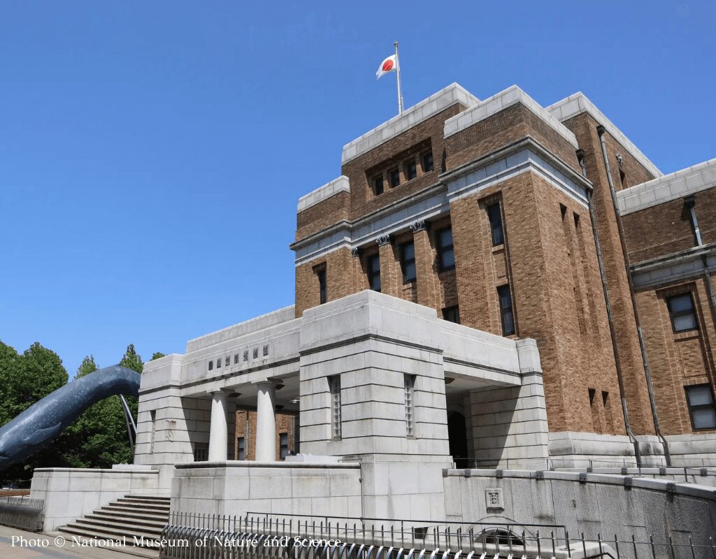 National Museum of Nature and Science