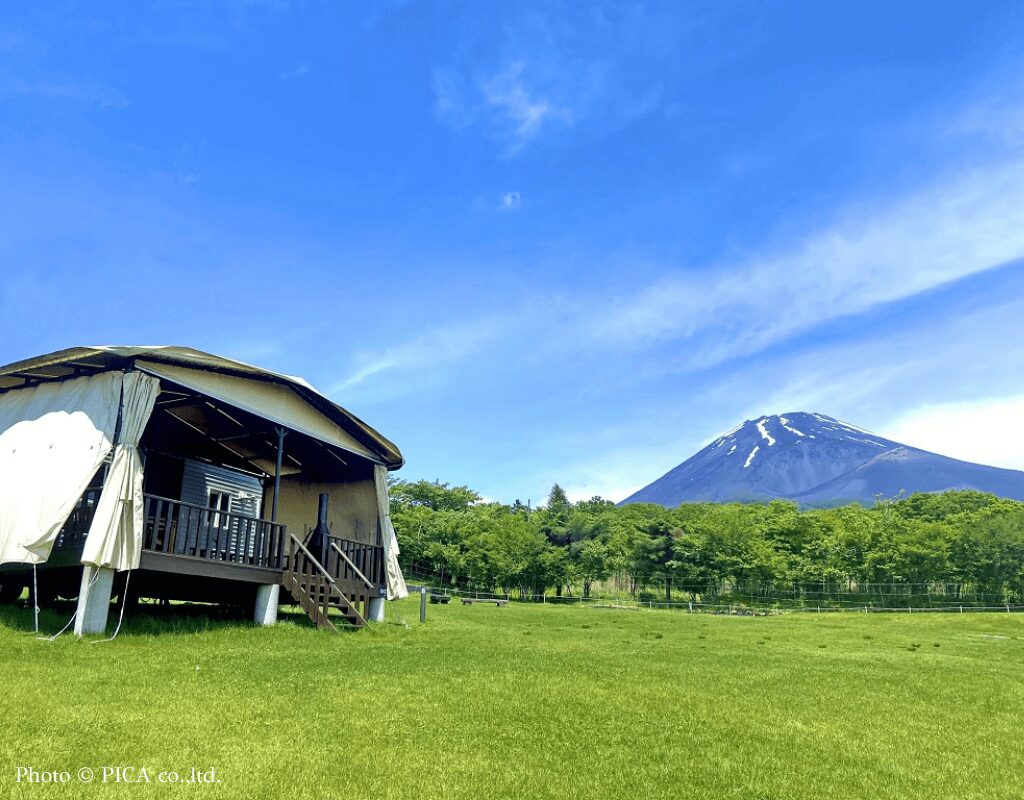 PICA FUJI GRINPA