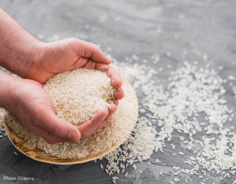 rice price in Japan