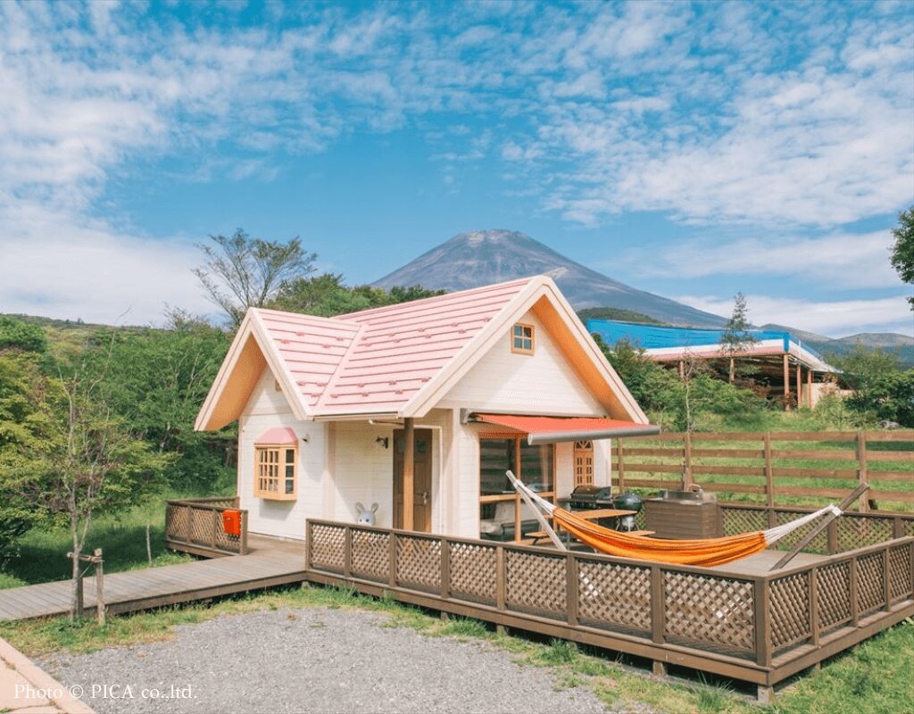 PICA FUJI GRINPA