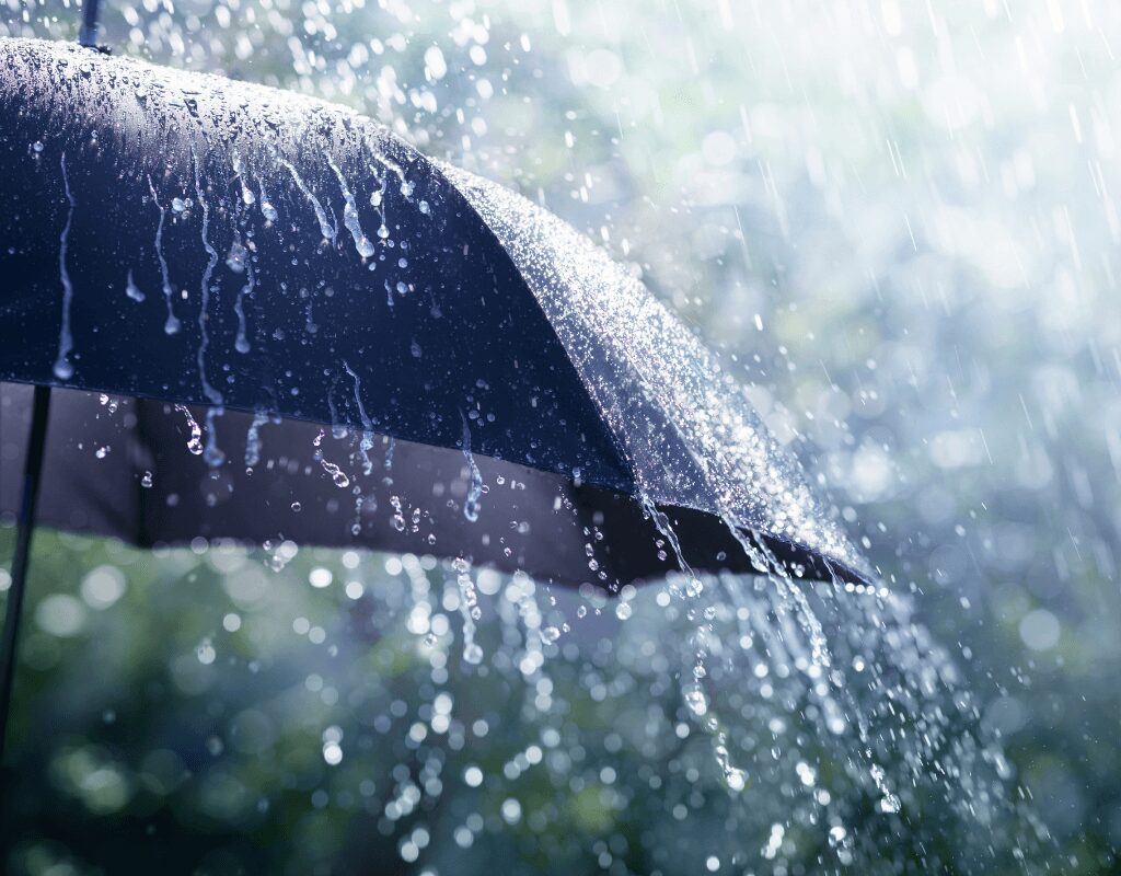 Rainy Season
