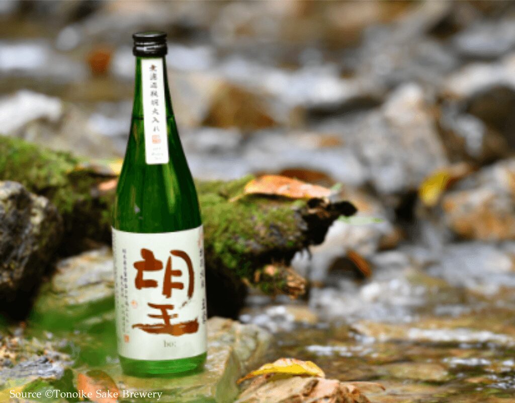 Nozomi (望)