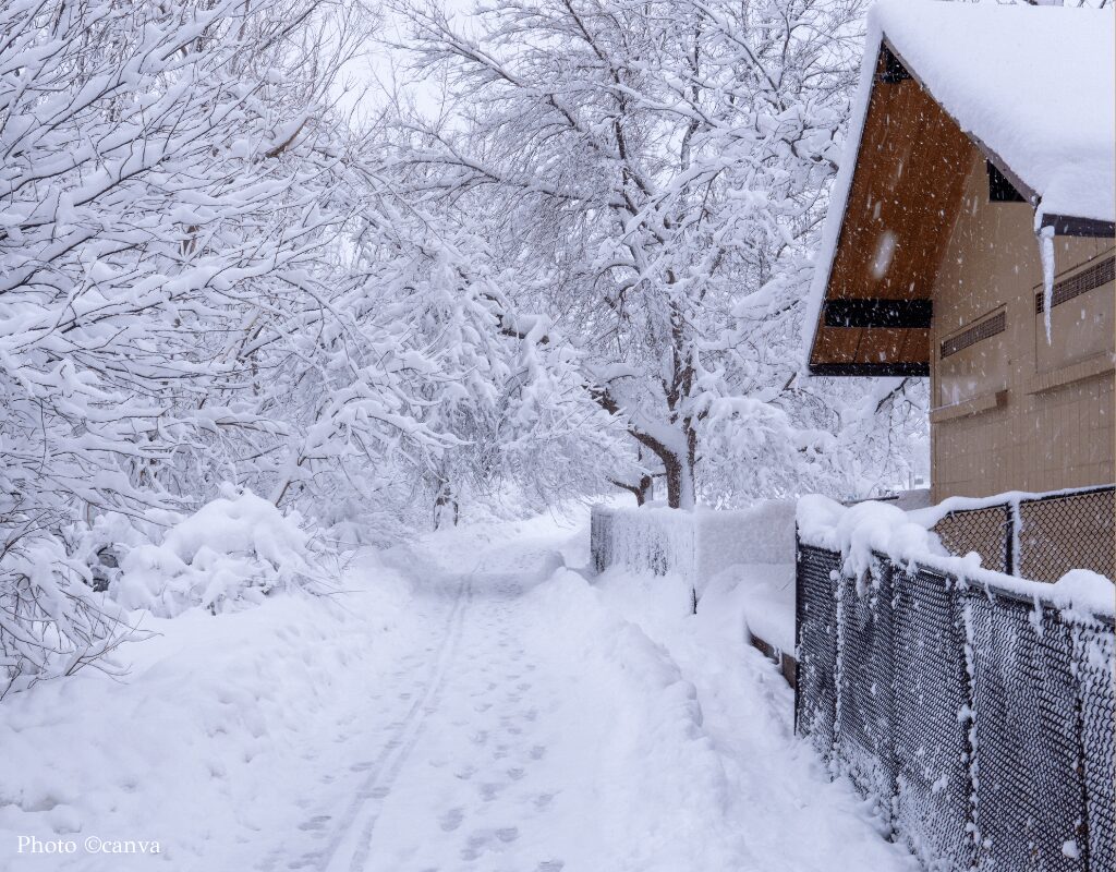 Snow