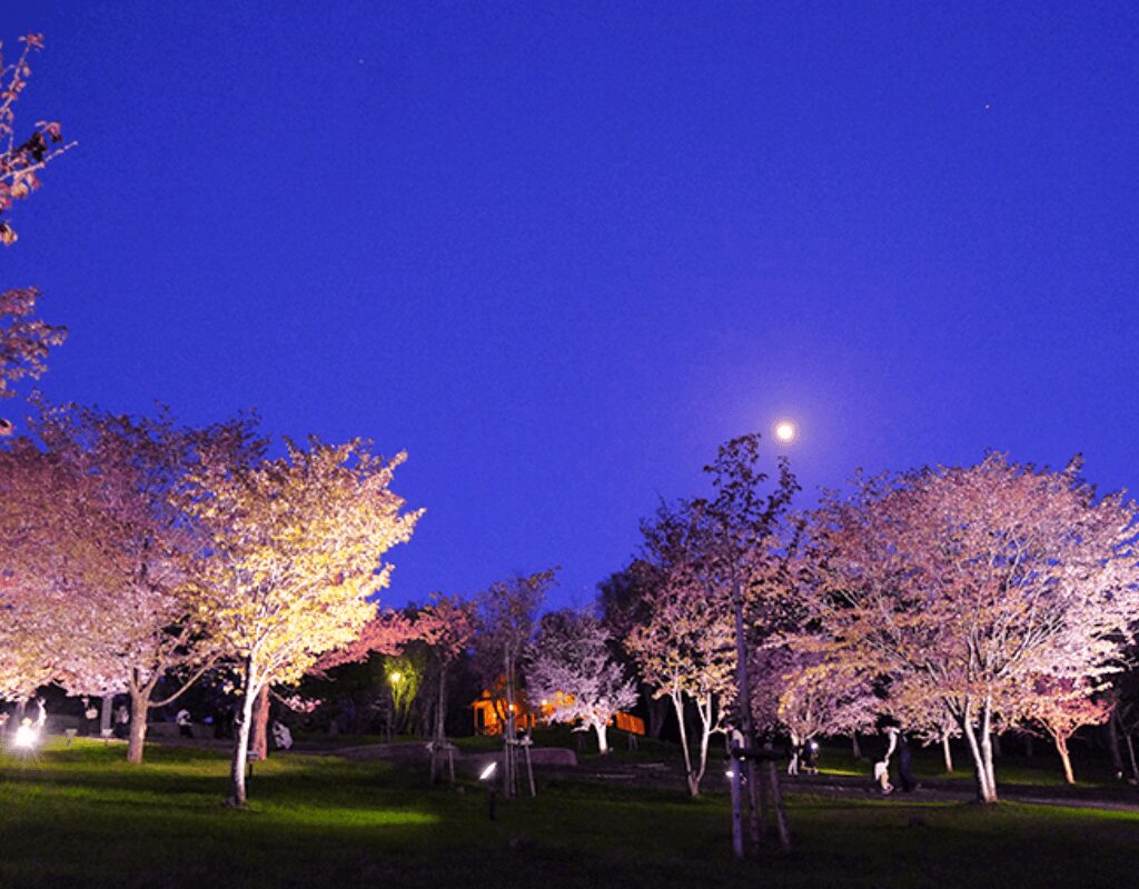 Asahigaoka Park