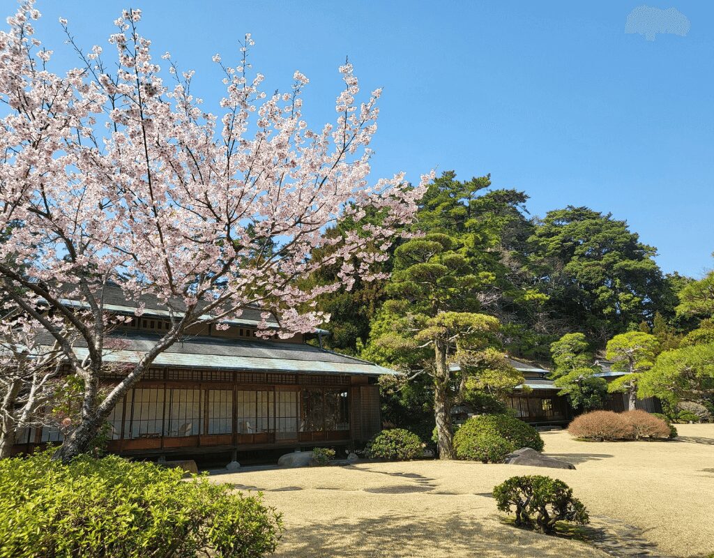Garden in Spring