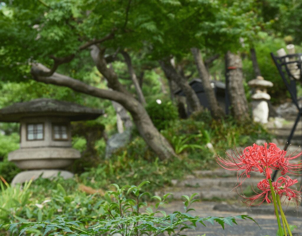 Japanese Garden