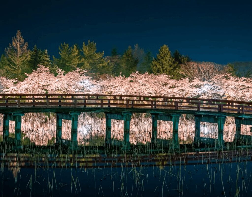 Saruka Park