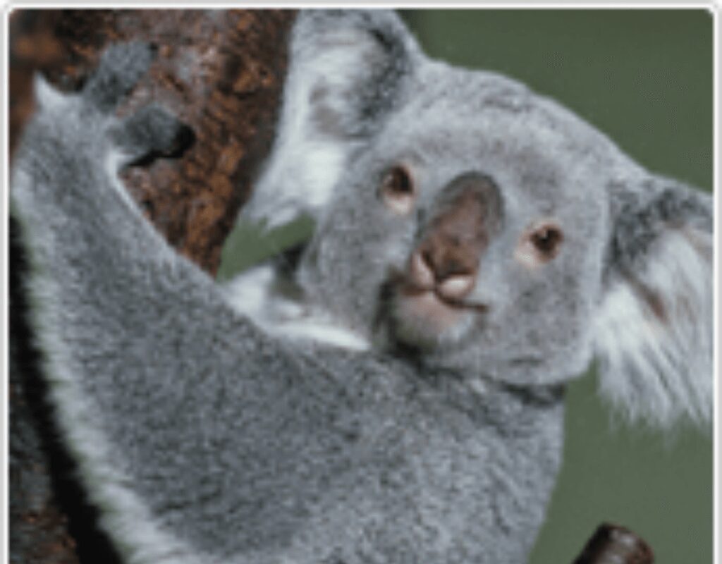 Tama Zoological Park
