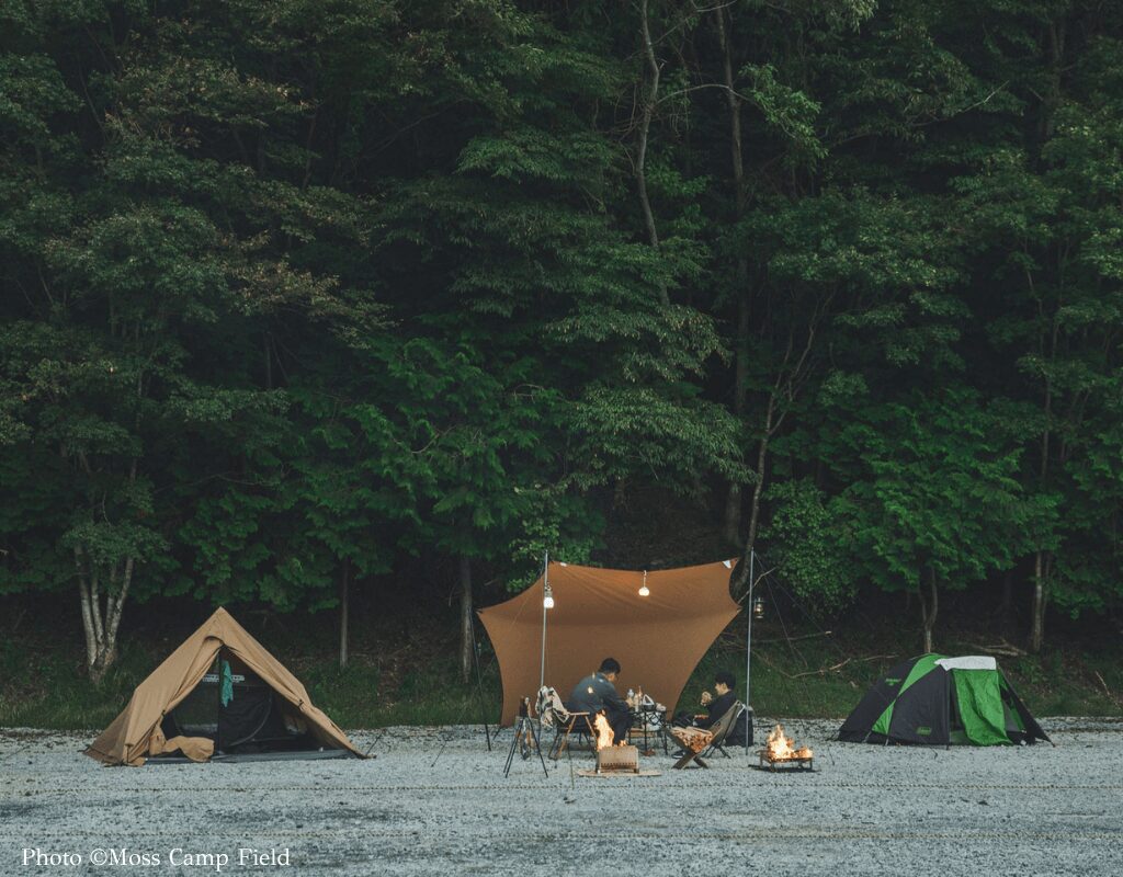 Moss Camp Field