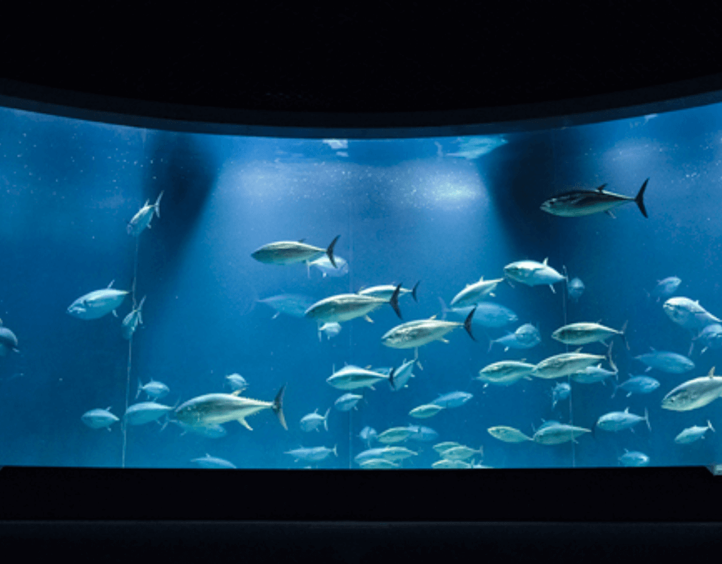 Tokyo Sea Life Park