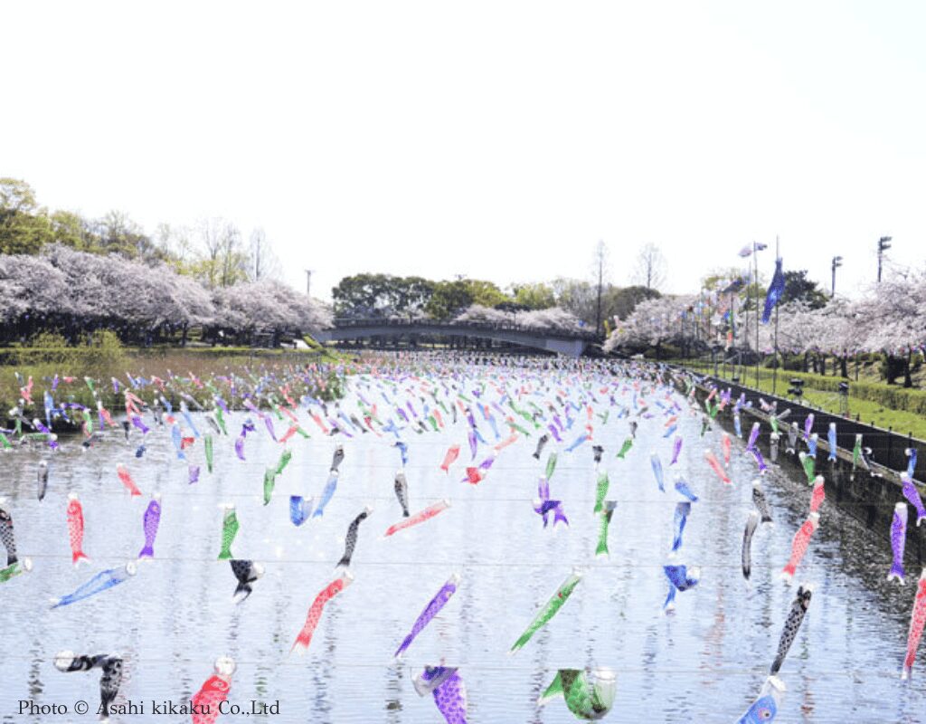 Tatebayashi Koinobori no Sato Festival