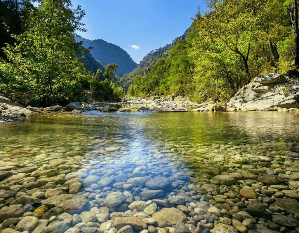 Clean River