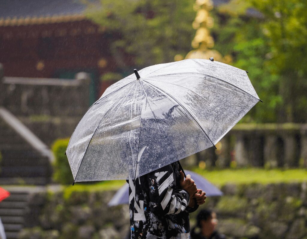 Rainy Season, a person holding an umbrella
