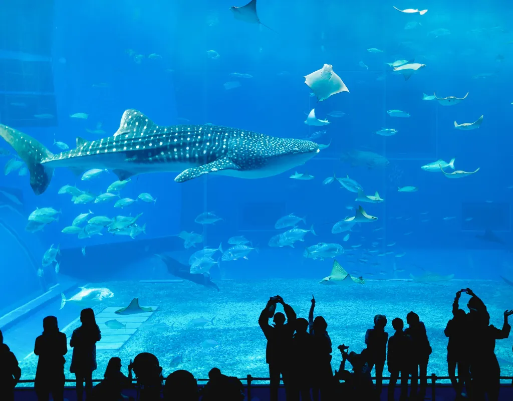 Aquarium