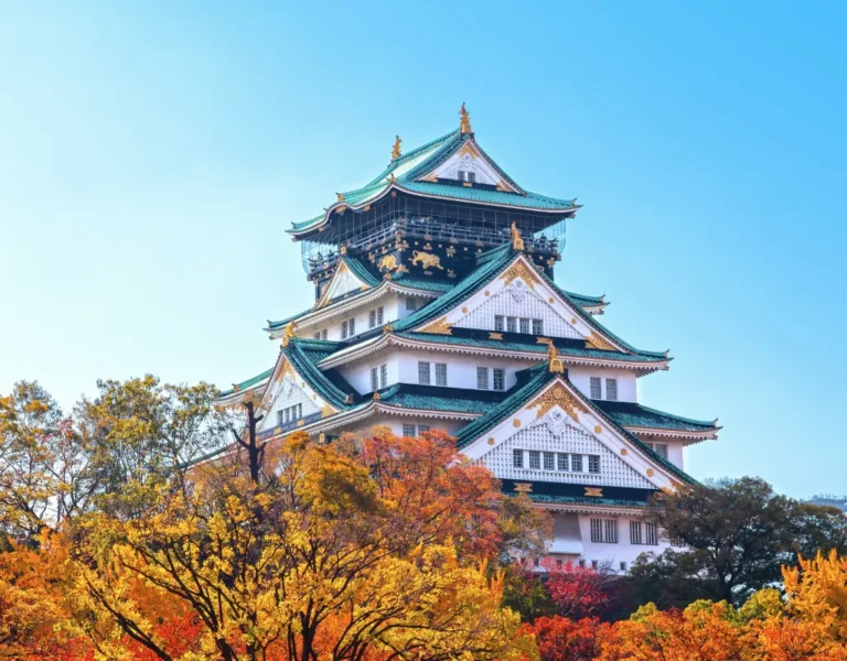 Autumn Leaves in Japan