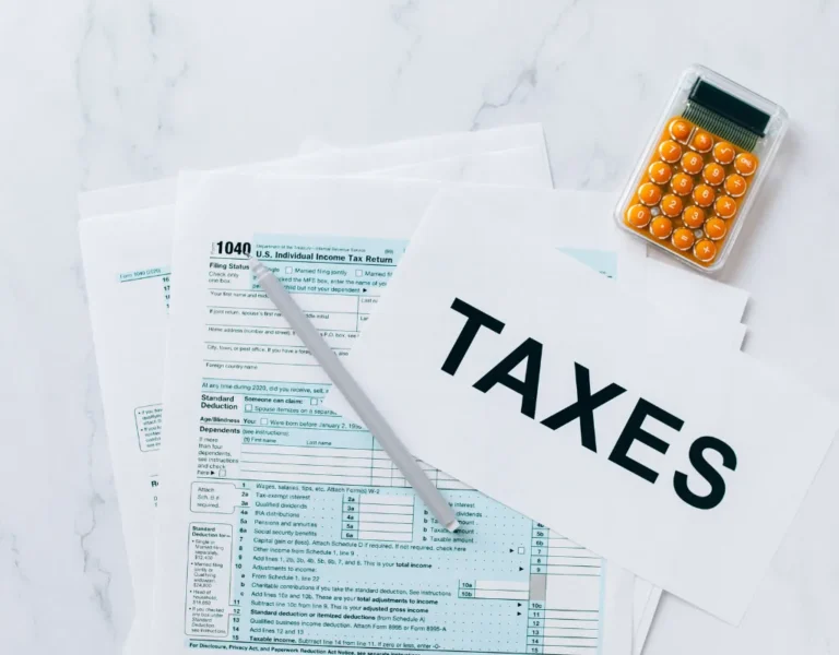 file taxes online Japan